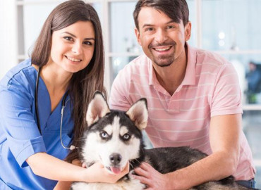 Mistaken idea of denouncing pleasure and praise pain