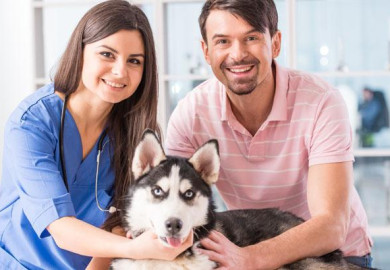 Mistaken idea of denouncing pleasure and praise pain