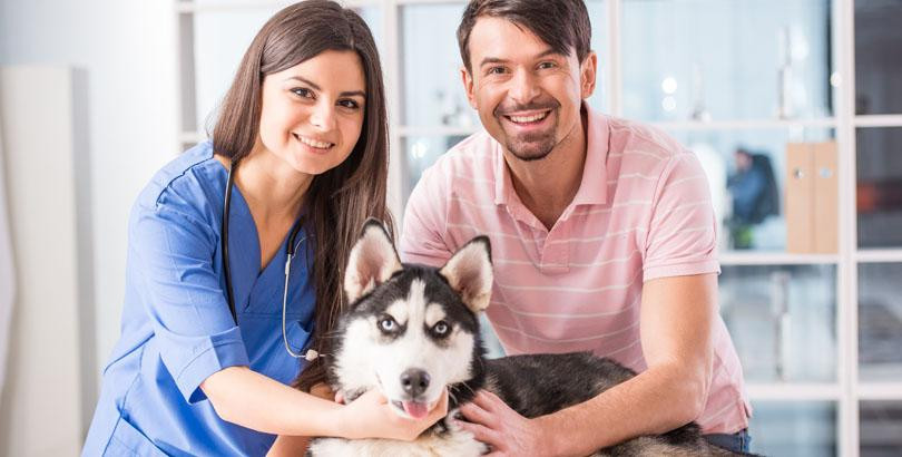 Mistaken idea of denouncing pleasure and praise pain